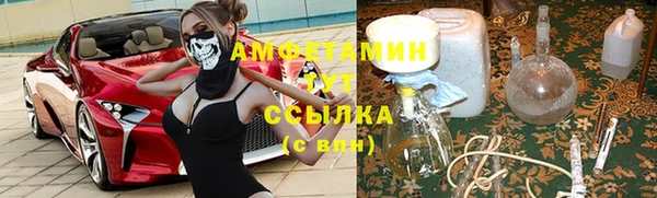ПСИЛОЦИБИНОВЫЕ ГРИБЫ Балахна