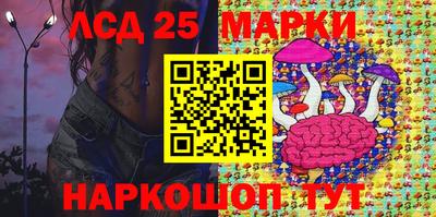прущие грибы Гусиноозёрск