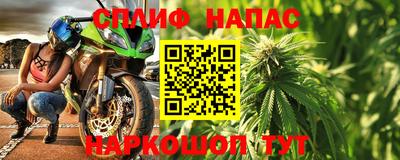 прущие грибы Гусиноозёрск