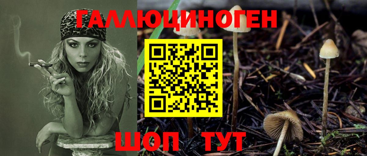 Галлюциногенные грибы Psilocybe  Вход с VPN  Галлюциногенные грибы ЛСД  Можга 