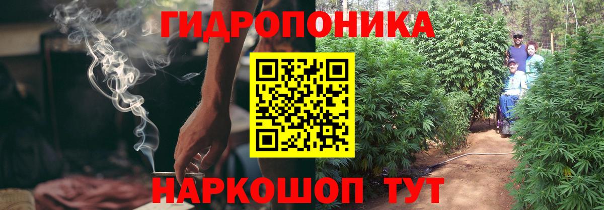 Можга  Бошки Шишки Bruce Banner  Конопля планчик  Вход с VPN  МАРИХУАНА SATIVA & INDICA 